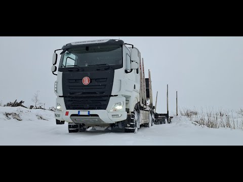 TATRA PHOENIX R33 6x6 Timber