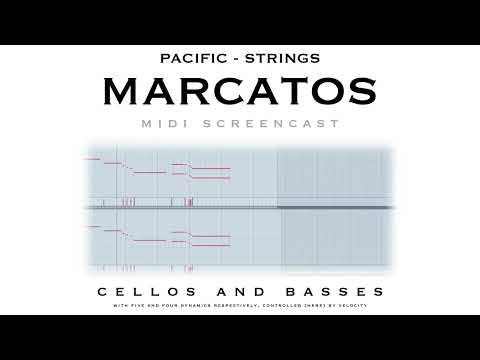 Pacific - Strings - Marcatos - MIDI Screencast 2
