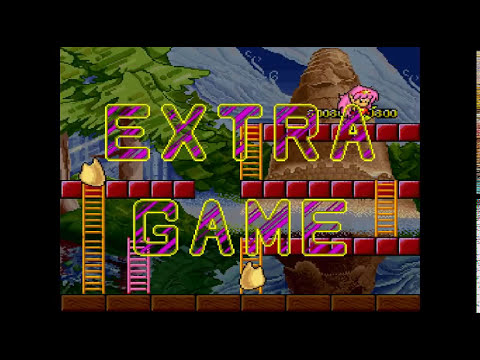 Rodland Arcade (Playthrough/Longplay)