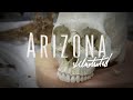 Arizona Illustrated Episode 525