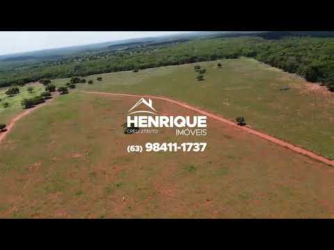 Vendo fazenda 50 alqueires (dupla aptidão) em Cristalândia Tocantins