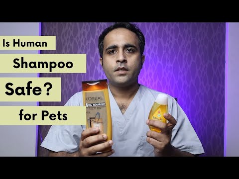 Is Human Shampoo safe for your pets _ Aliyan Veterinary Hospital
