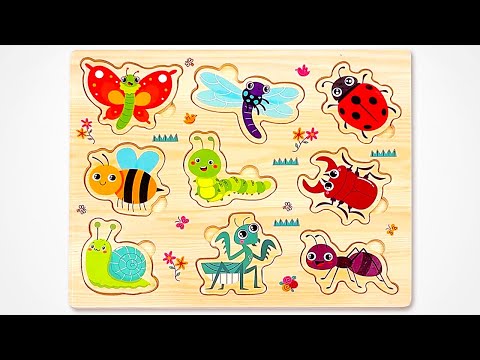 Learn Insect Names & Facts with Activity Puzzle 🐞🦋🐝 Preschool Learning Video for Toddlers & Kids
