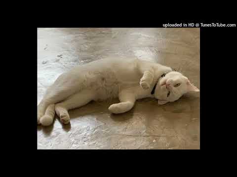 Deciimo - Fake it up (Audio)