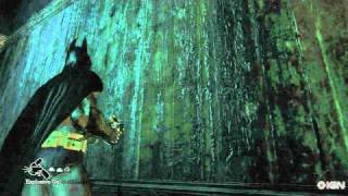 Batman: Arkham Asylum - The Warden