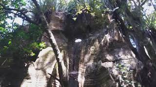 preview picture of video 'Kawiti Glow Worm Caves - Bush walk'