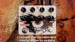 Walrus Audio Luminary - What To Know & Where To Buy | Equipboard