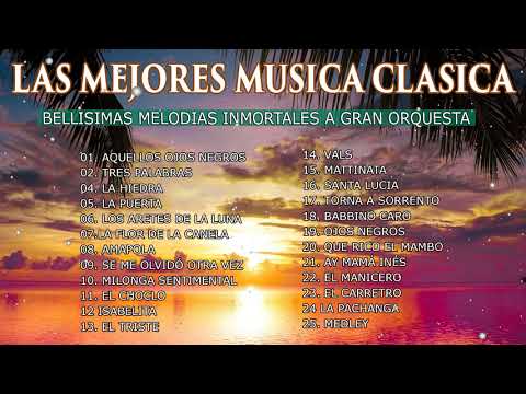BELLISIMAS MELODIAS INMORTALES A GRAN ORQUESTA MUSICA INSTRUMENTALES DE ORO PARA ESCUCHAR #2