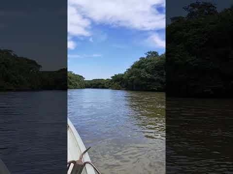Rio Panema cartão postal de Campina do Monte Alegre 🎣🇧🇷#pescaria