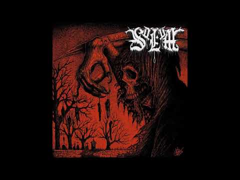 Solum - Cast Into The Void (2018)