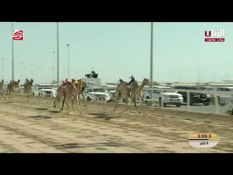  ش 5 (صنف) لـ محمد سالم محمد الفهيده المري 7:28:62 , مهرجان الأمير الوالد 2026/2/5 لقايا الشحانية  