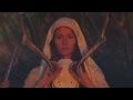 Suns of Thyme - Blue Phoenix Tree 