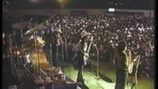 Los Tigres Del Norte - Rosita De Olivo