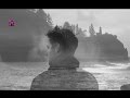 ROO PANES - "Little Giant" \\ Lyrics 