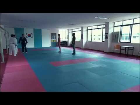 Bruce lee vs taekwondo master