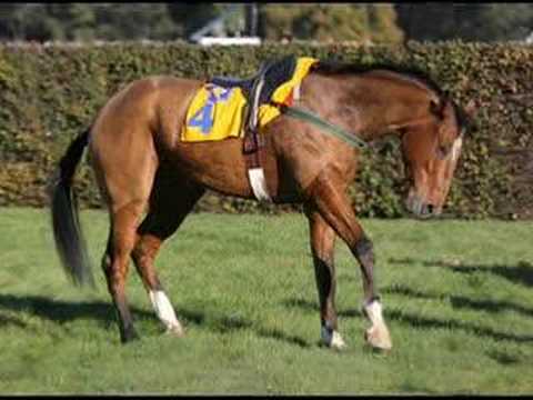 Polárník a Cieszymir