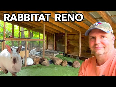 I Upgraded the Rabbit Colony - Rabbitat Transformation