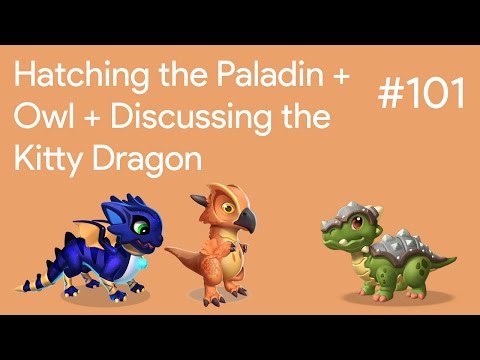 Hatching the Paladin + Owl + Discussing the Kitty Dragon | DML Gameplay #101