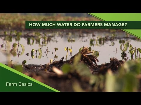 Farm Basics #1157 How much water do farmers manage?  (Air Date 6-7-20)