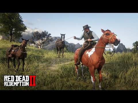 Domando CAVALOS e PESCANDO - Red Dead Redemption 2