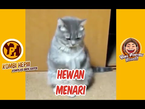 kombi-heppiii-hewan-menari