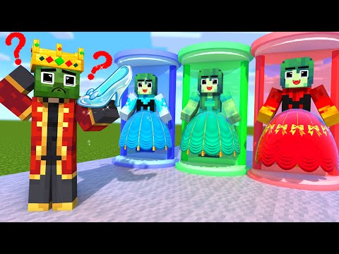 Monster School : Zombie x Herobrine Who is Real Princess? - Minecraft Animation