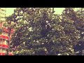 Astrud Gilberto - Love Is Stronger Far Than We ...