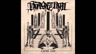 Vastum - Spirit Abused