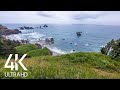 8 HOURS Ocean Waves Soundscape in 4K - Ocean Sounds and Singing Birds Ambience, Oregon Coast