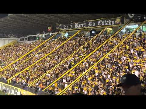 Estreia Catarinense 2023 - Outra vez na primeira o Tigre estará!