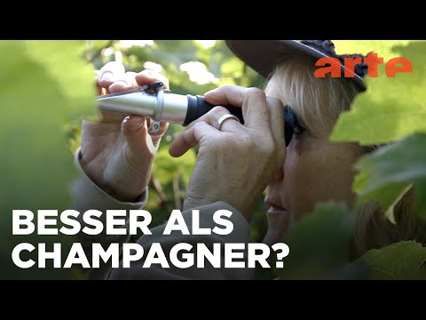 England: Ein königlicher Sekt | Die wunderbare Welt der Weine | ARTE Fernweh