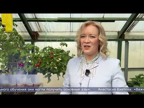 14.05.2026 Арбузы, клубника и перцы – ученики общеобразовательных школ познают азы агрономного дела