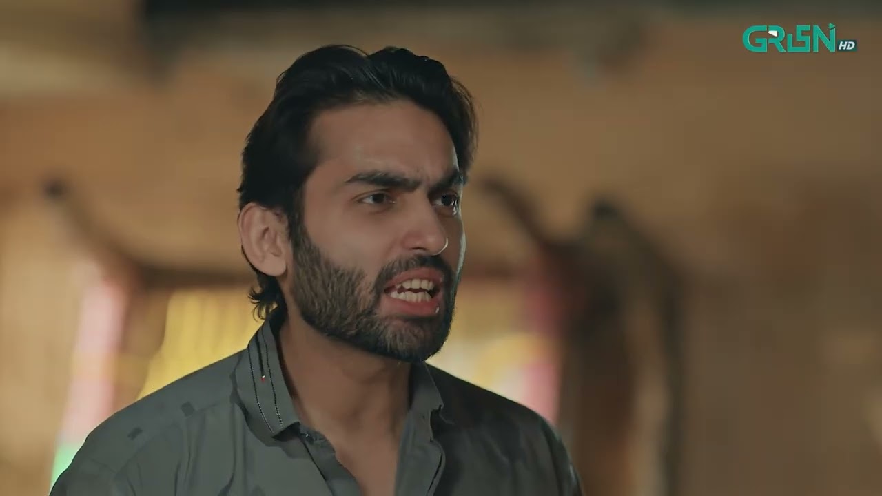 Ghulam Bashah Sundri Ep 02 | Best Moment 01 | Hina Afridi - Imran Ashraf & Zaviyar Ijaz | Green TV