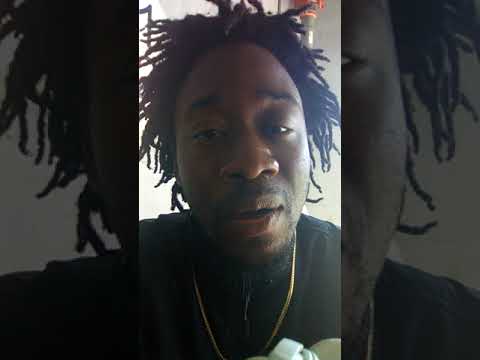 Car accident Freestyle Tampa, fl