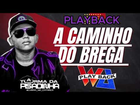 PLAYBACK  | A CAMINHO DO BREGA | A TUMA DA PISADINHA