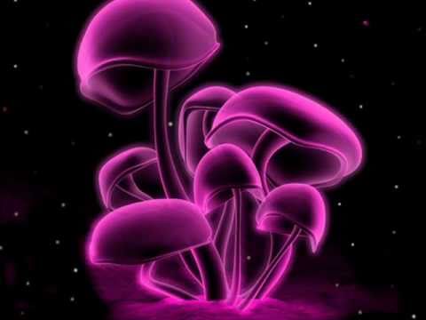 download lagu mp3 mp4 Bassnectar Top Songs, download lagu Bassnectar Top Songs gratis, unduh video klip Bassnectar Top Songs