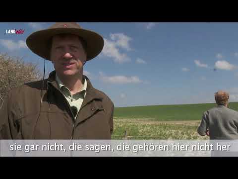 Nandus zu m Abschuss freigegeben?