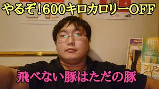 不定例秘密のカラオケダイエット配信