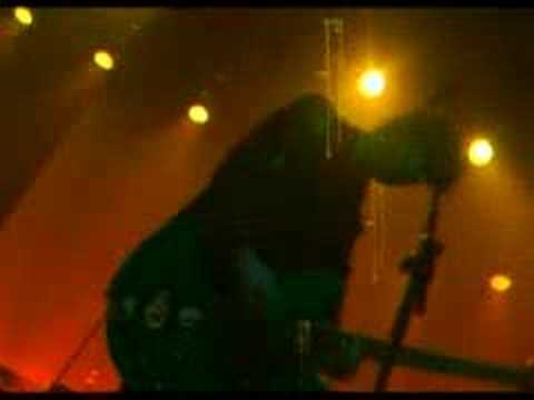 THE STILLS "Changes Are No Good"