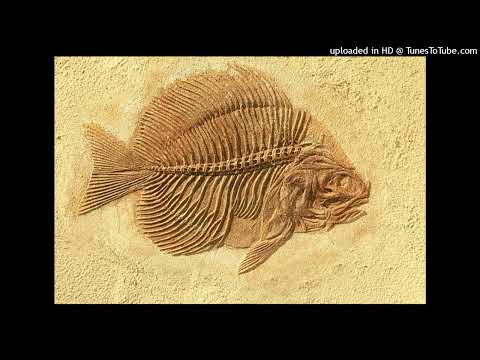 COCHISE X $NOT - "TELL EM" METAL REMIX