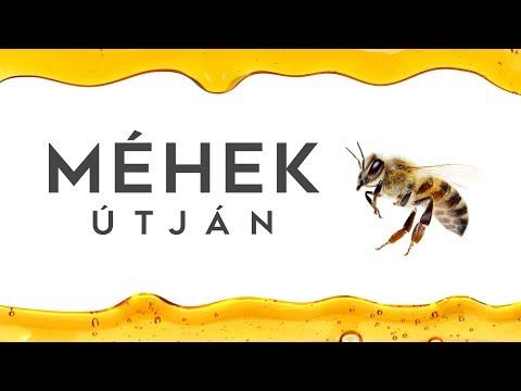 , title : 'Méhek útján | OMME | 15 perc'