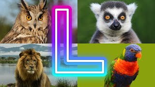 Animals And Birds Starting with L || Amazing  Animals Starting With L