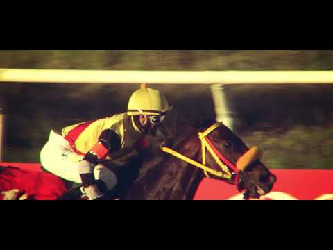 HIPODROMO NACIONAL DE MAROÑAS - TERCERA GEMA TRIPLE CORONA 1/11/2020