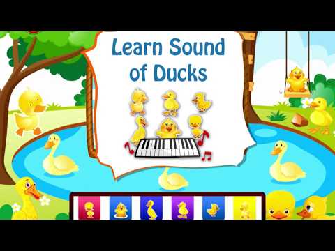 Baby Piano Duck Sounds Games