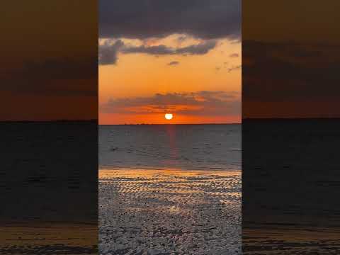 Sunset from a sandbar! #shorts  #shortvideo  #sunset  #relax  #new  #youtubeshorts