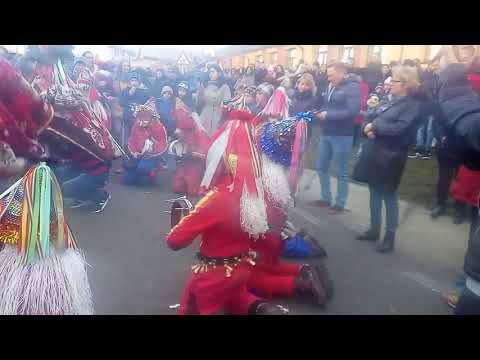 Cerbu Baltati 2017-2018