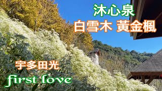 [問卦] 糖尿病真的不會好嗎