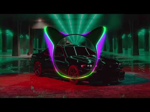 KLLIN,BartiZ-Сафари