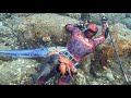 Shore Dive with Unko Spenny - Catch n Cook Hawaii