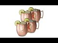 Moscow Mule Set 4er Becher